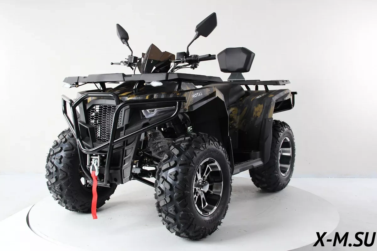 Квадроцикл MOTAX Grizlik 300 – купить в интернет-магазине X-MOTORS