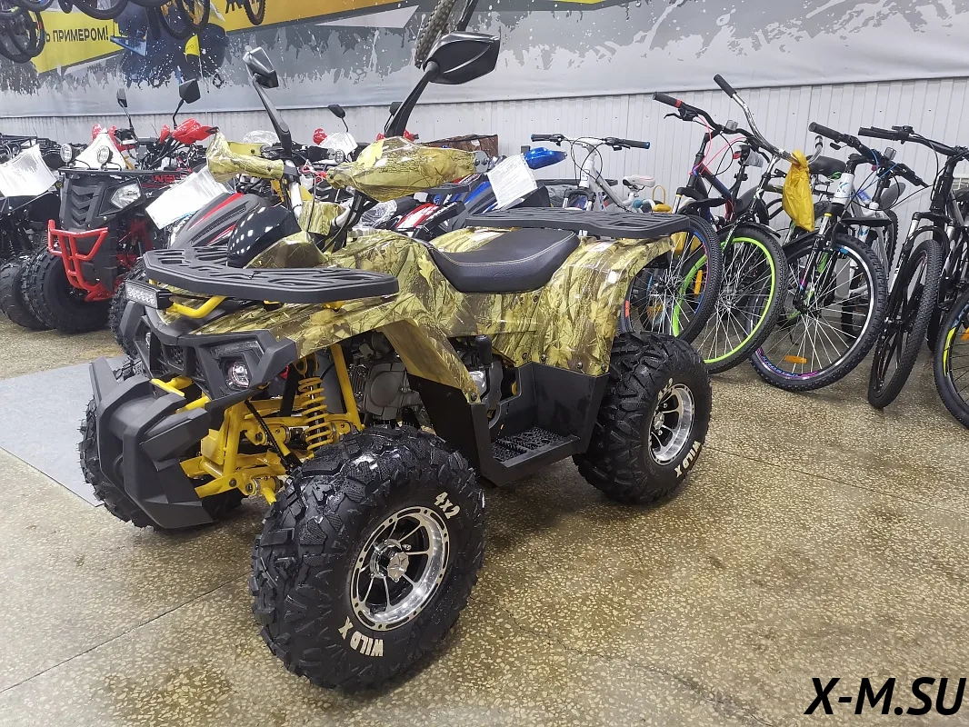 Квадроцикл PROMAX STORM 190 PRO – купить в Саратове в интернет-магазине ...