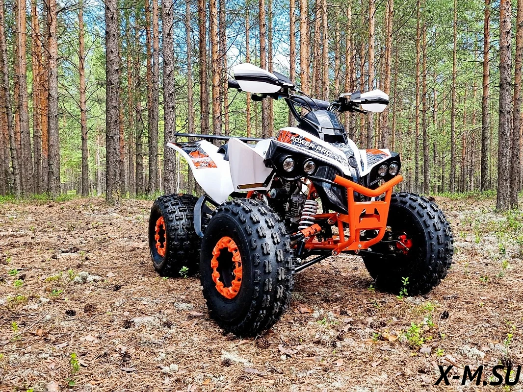 Квадроцикл PROMAX SPAWN 180 – купить в интернет-магазине X-MOTORS