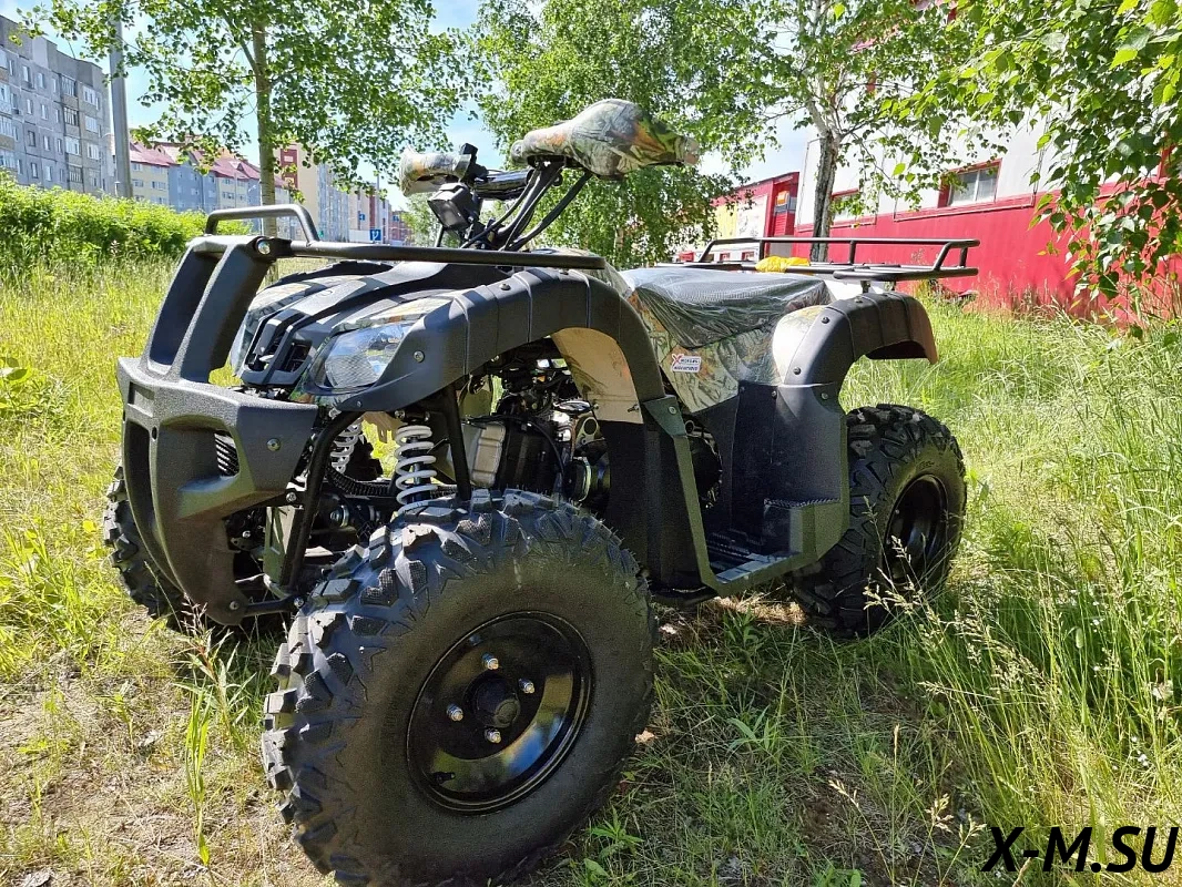 Квадроцикл PROMAX ATV 250 – купить в Челябинске в интернет-магазине X ...